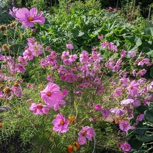 Meet your Posher, Noémi